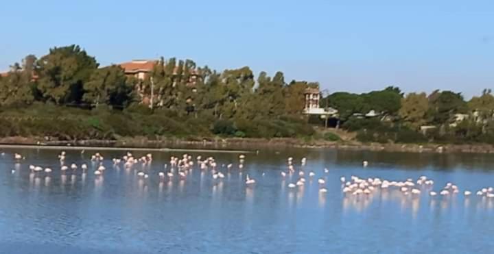 Turismo Rurale Pertunghe Villa Sant' Antonio di Santadi Luaran gambar